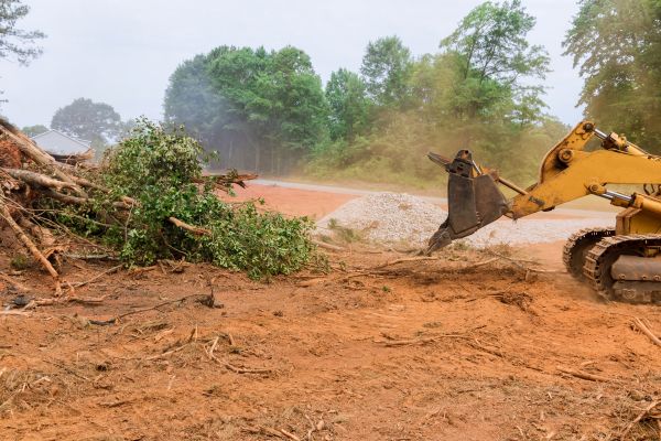 Forestry Mulching Service in Danville