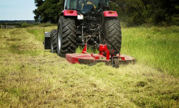 Brush Clearing Service in Danville