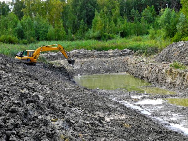 Cost of Lake Lot Clearing in Danville